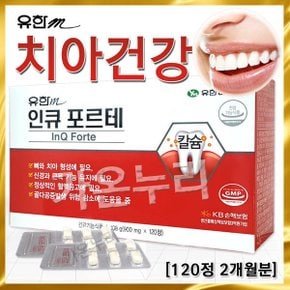인큐포르테120정 2개월분 인사 치아칼슘