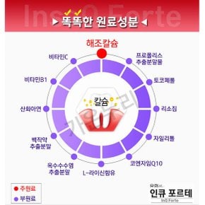 인큐포르테120정 2개월분 인사 치아칼슘