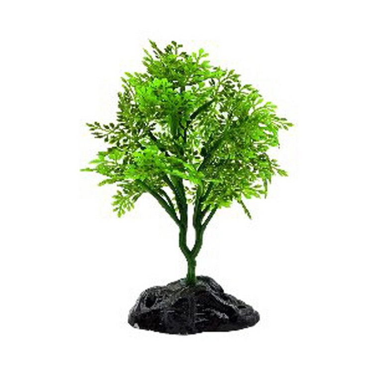 아마존 느티나무 수초장식 그린 (L231)-라라아쿠아, 믿고 사는 즐거움 SSG.COM 아마존 느티나무 수초장식 그린 (L231)-라라아쿠아, 믿고 사는 즐거움 Ssg.Com