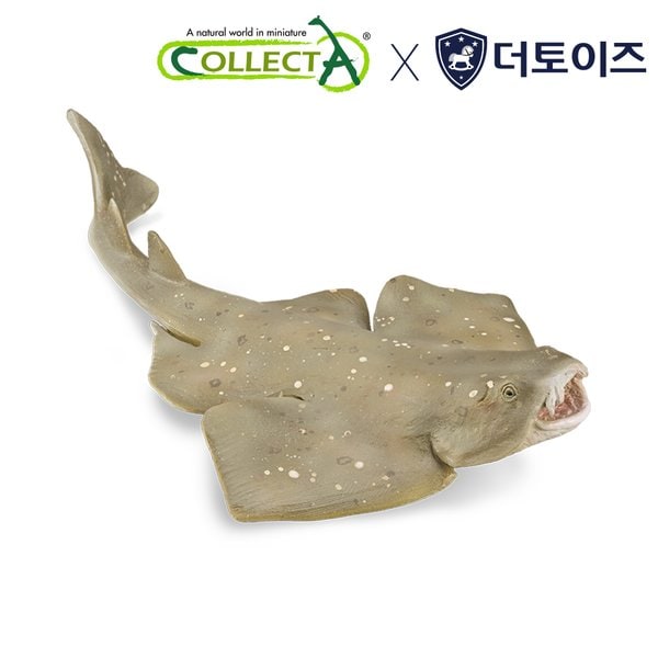 상품이미지1