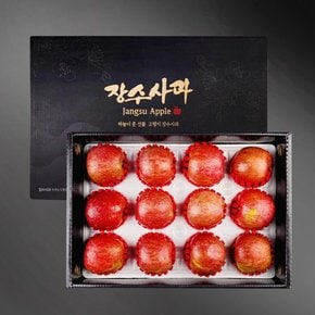 [9/15 순차출고] [농협공판장] 정성드린 프리미엄 장수사과세트 5kg(특7-10과내)