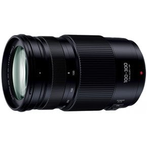 파나소닉 초망원 줌 렌즈 마이크로 포서즈용 루믹스 G VARIO 100-300mm