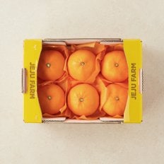 파머스픽 천혜향 4~6입/박스 (1.5kg내외)