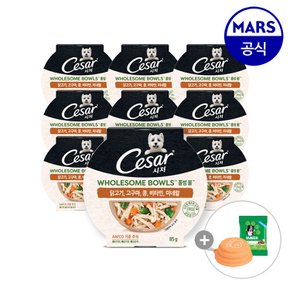 시저 홀썸볼 닭고기 고구마 콩 85g 10개/강아지 주식 습식사료