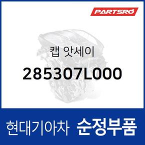 순정 요소수 캡 뚜껑 (열쇠타입) (285307L000)  마이티, 트라고 6X2, 트라고 특장 6X2, 트라고 특장 6X4, 트라고 8X410X4, 트라고 특장 8X4 10X4, 트라고 6X4