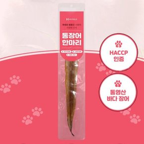 허글 강아지 애견 통장어 보양 간식 수제 간식 10g