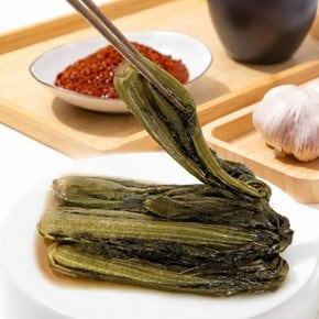 [더조은] 정성담긴 우리네 갓김치 피클 1kg