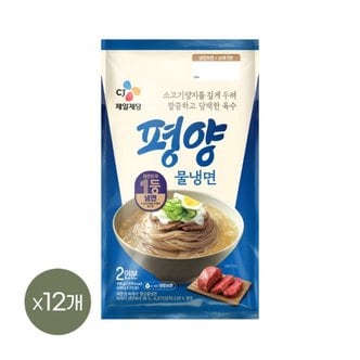 CJ제일제당 평양 물냉면 2인분(900g) x12개