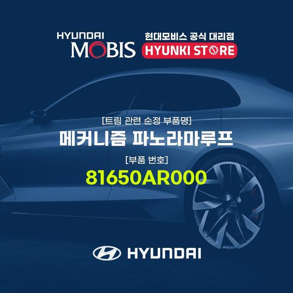 현대모비스메커니즘 파노라마루프 (81650AR000) 