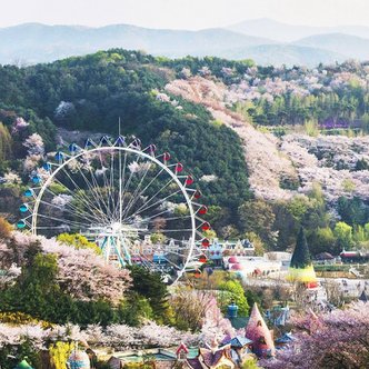 에버랜드 [용인] 에버랜드 종일이용권 (~25/3/21) (날짜미지정)