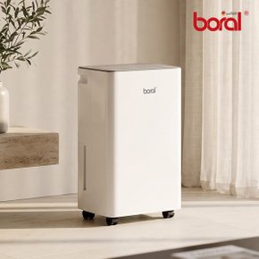 더 데일리 AI 제습기 12L BR-DEF1000H