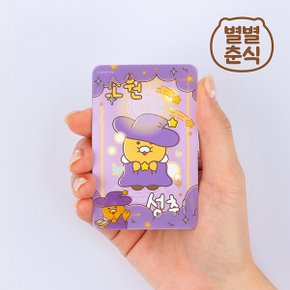 별별춘식 투명 포토카드
