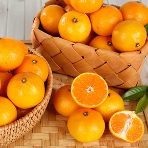 이제주 서귀포 햇  노지감귤 3kg (소과 2S 실중량)