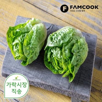 팸쿡 가락시장직송 통로메인 상추 1.8-2kg