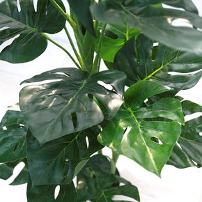 조화나무 인조 화분 장식 그린라인 몬스테라 110cm