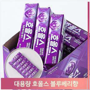 대용량 호올스 블루베리향 27g 20입 식후사탕 캔디 (S7466519)