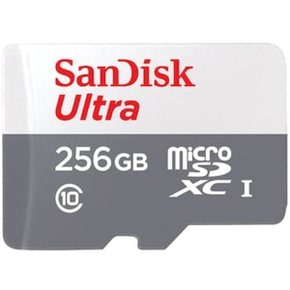 Sandisk micro SD Ultra 2020 Gen1 (256GB)