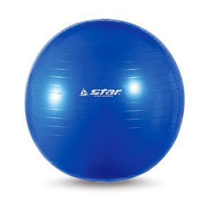 짐볼(EB240-07) 55cm