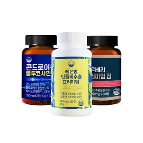 여름 건강관리 선물 콘드로이친/레몬밤/링곤베리
