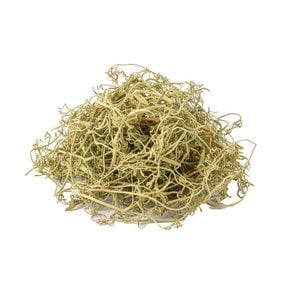 월하누리 돌미나리 수근 물미나리 국내산 말린 건조 600g