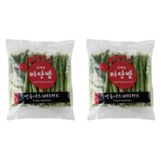 마당발 냉동아스파라거스  (중국산, 1kg) , 2개