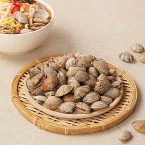 [생물][국산] 서해안 참바지락 (1kg)