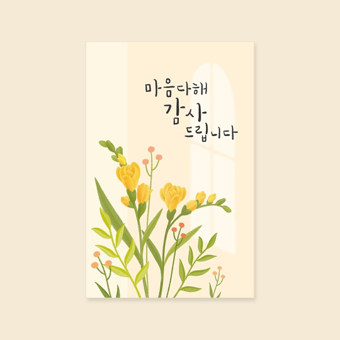 캘리엠카드 캘리그라피 손글씨 스타필드 고양매장