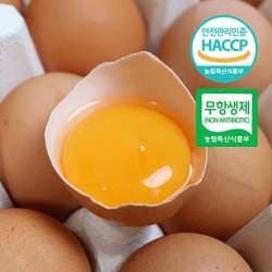 [SSG] 난각번호 1번 자연방사 무항생제 유정란 대란 60구 (23,715원/무료)