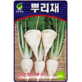 뿌리채씨앗 10g 뿌리 배추씨앗