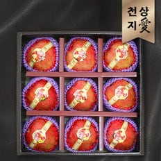 [바로발송][천상지愛]프리미엄 과일 선물세트[天] 사과 9과[3KG]