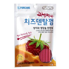 과일먹은 치즈덴탈껌100g 애견간식 강아지간식