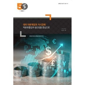 대외 자본계정과 거시경제 :자본유출입과 생산성을 중심으로 : 정책연구시리즈 2020-16