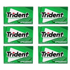 트라이던트 스피어민트껌 14스틱 Trident Spearmint Gum 6개