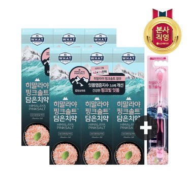 엘지생활건강 죽염 히말라야핑크솔트 아이스 치약 100g x 6개 + 핑크솔트 담은칫솔 1입