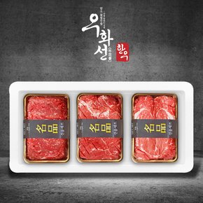 특선 숙성한우 1+등급  실속 정육세트(불고기+국거리+산적/팩당300g/총900g)냉장