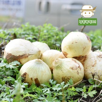  [삼촌농장] 달큰한 무안 햇 양파(대) 3kg