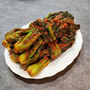 [우리남도] 산지직송 여수 돌산 갓김치 4kg