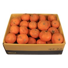 삼다몰 제주 못난이 카라향(귤로향) 5kg