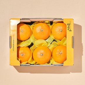 [신선장인] 홍동표 천혜향 (5-8입, 1.8kg)