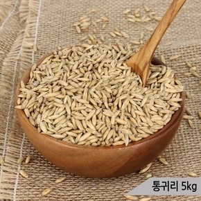 건강알곡 통귀리 5kg 앵무새 햄스터 소동물 영양간식