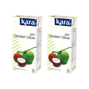 Kara 카라 UHT 코코넛 크림 1000ml 2개