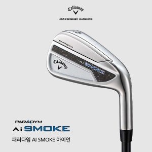 BIG GOLF [한국캘러웨이골프정품] 2024년 패러다임 Ai 스모크 스틸 9개세트 아이언 AI SMK NEO  [NS PRO]