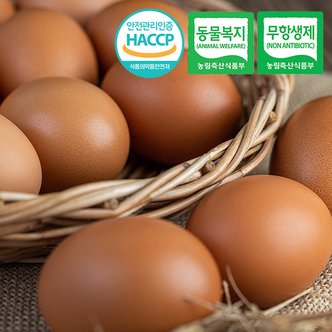 웰굿 [동물복지/무항생제/HACCP] 웰굿 구운유정란 계란 30구(대-특란)