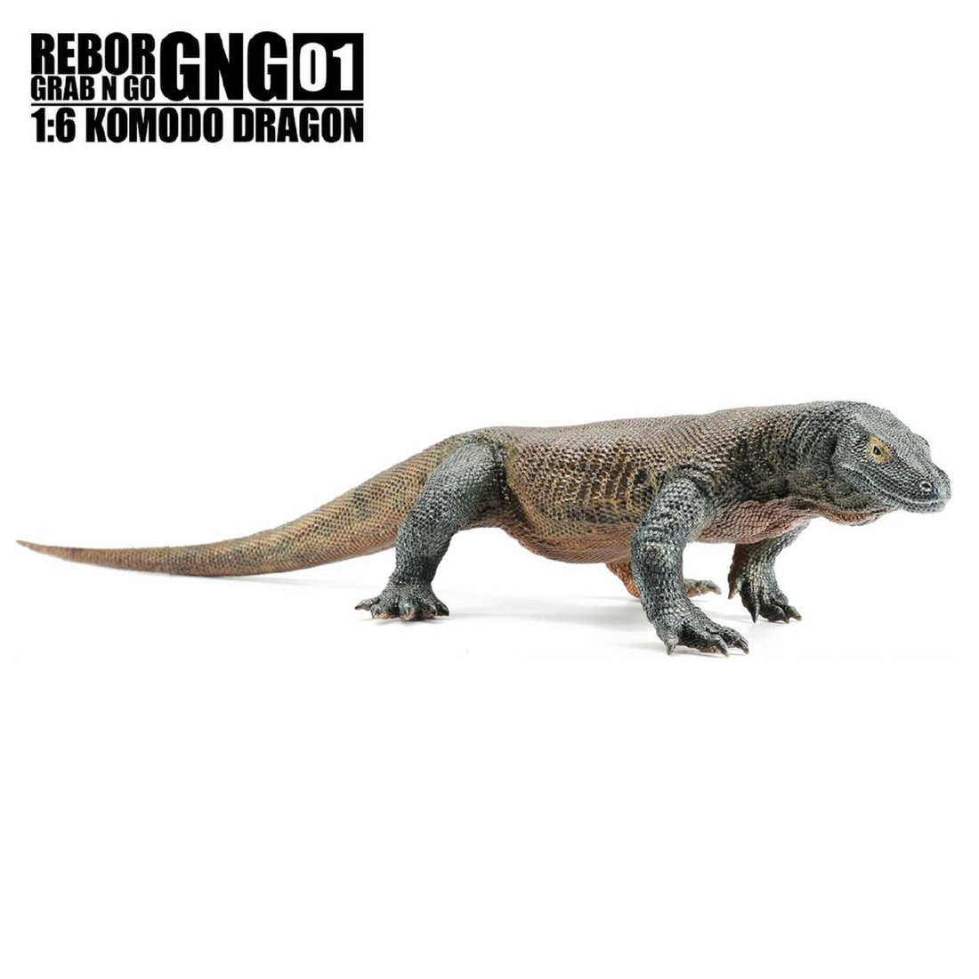 리보]Rebor Gng /코모도 왕 도마뱀 (Komodo Dragon), 신세계적 쇼핑포털 Ssg.Com