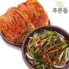 양념한가득 남도식 포기김치 1kg + 열무김치 1kg