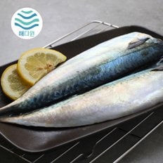 해다원 깔끔손질 제주산 고등어 필렛 5팩 대 (130g이상 5팩)