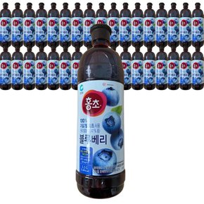 홍초 블루베리 1.5L 3개
