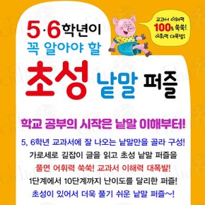 5-6학년이 꼭 읽어야 할 교과서 시리즈 5권세트