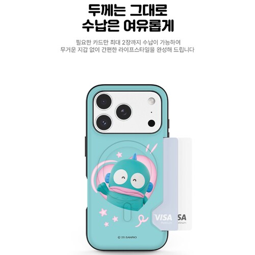 추가이미지6