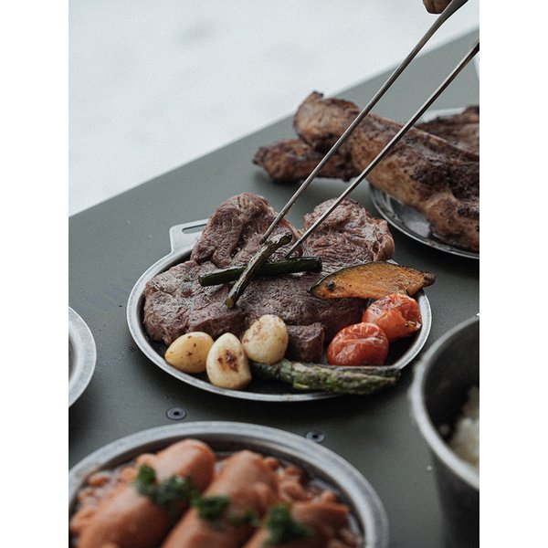 Wild Sierra lid plate